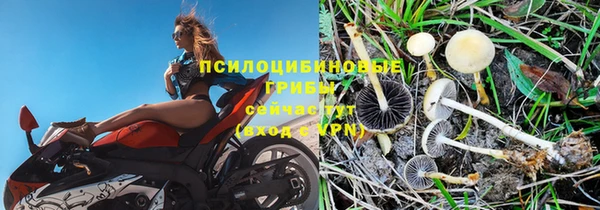 дживик Бабаево