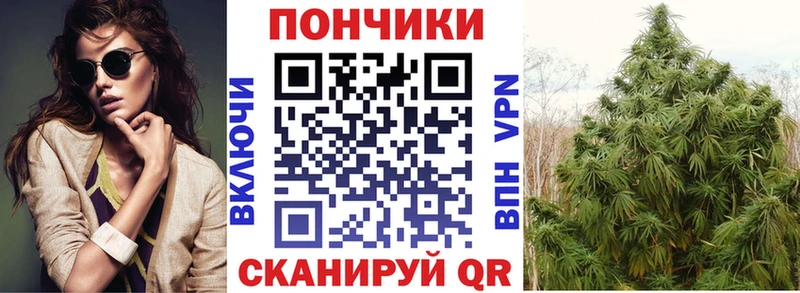 Купить где  Похвистнево  Канабис семена 